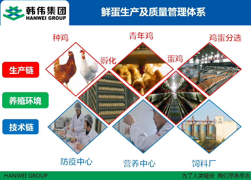 韓偉集團鮮蛋生產及質量管理體系 韓偉集團鮮蛋生產及質量管理體系